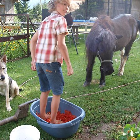 Walcherhof Arriach Ngoại thất bức ảnh